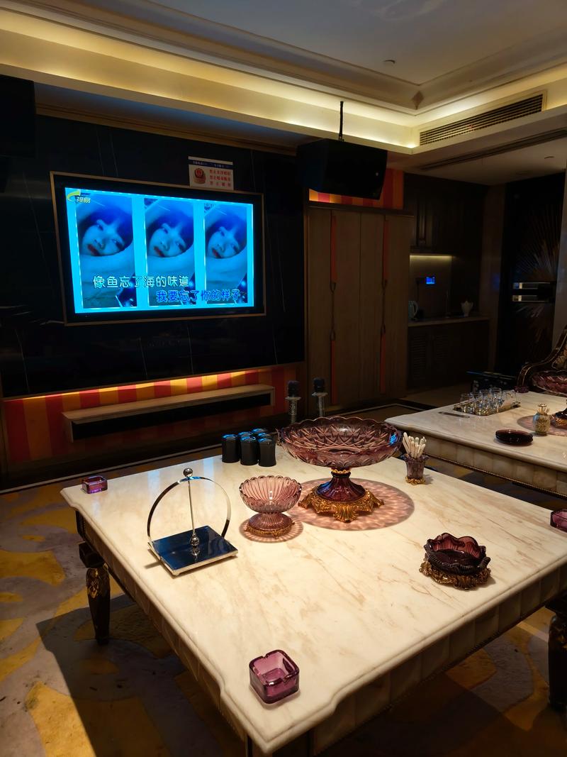 辽阳商务KTV预订-文圣区ktv预定